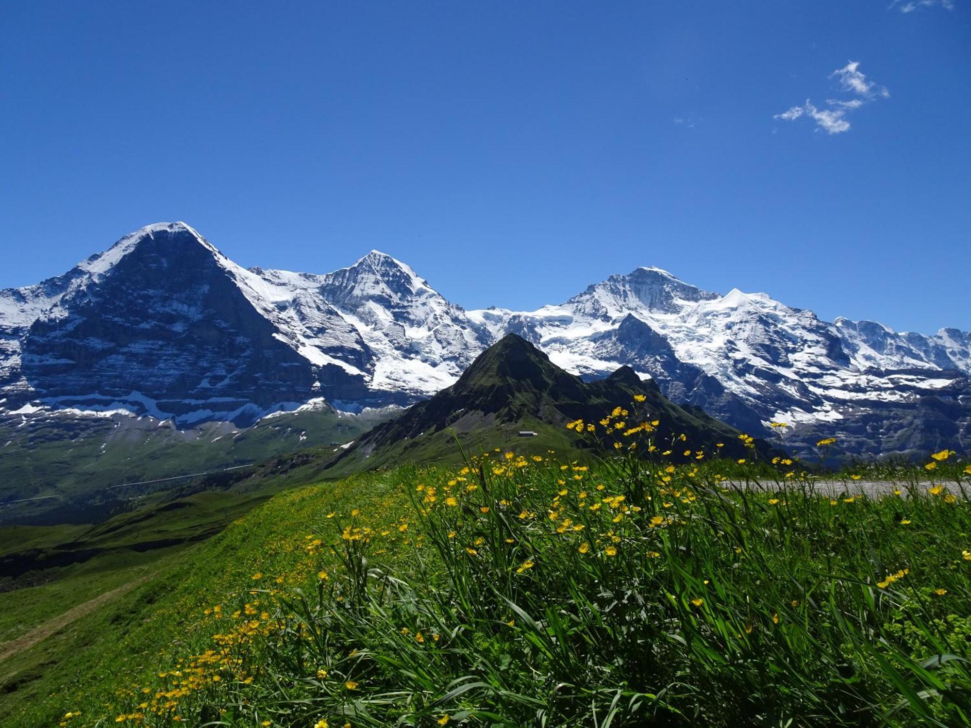Chalet Alpina Gyger Wengen Bagian luar foto