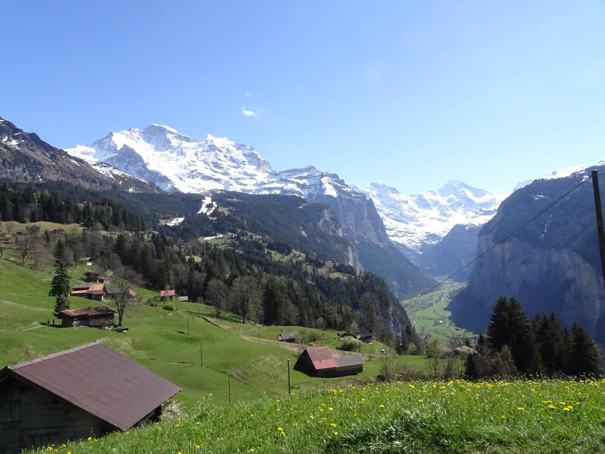 Chalet Alpina Gyger Wengen Bagian luar foto