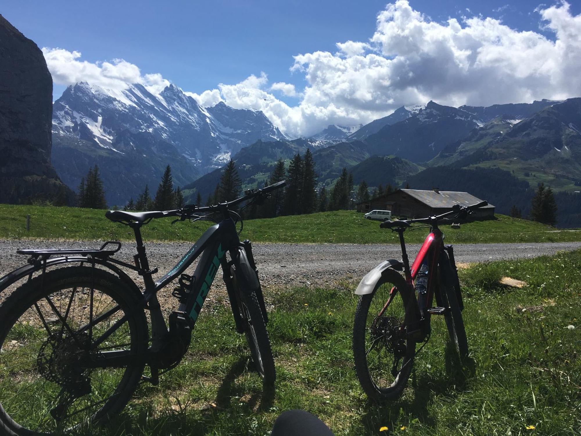 Chalet Alpina Gyger Wengen Bagian luar foto