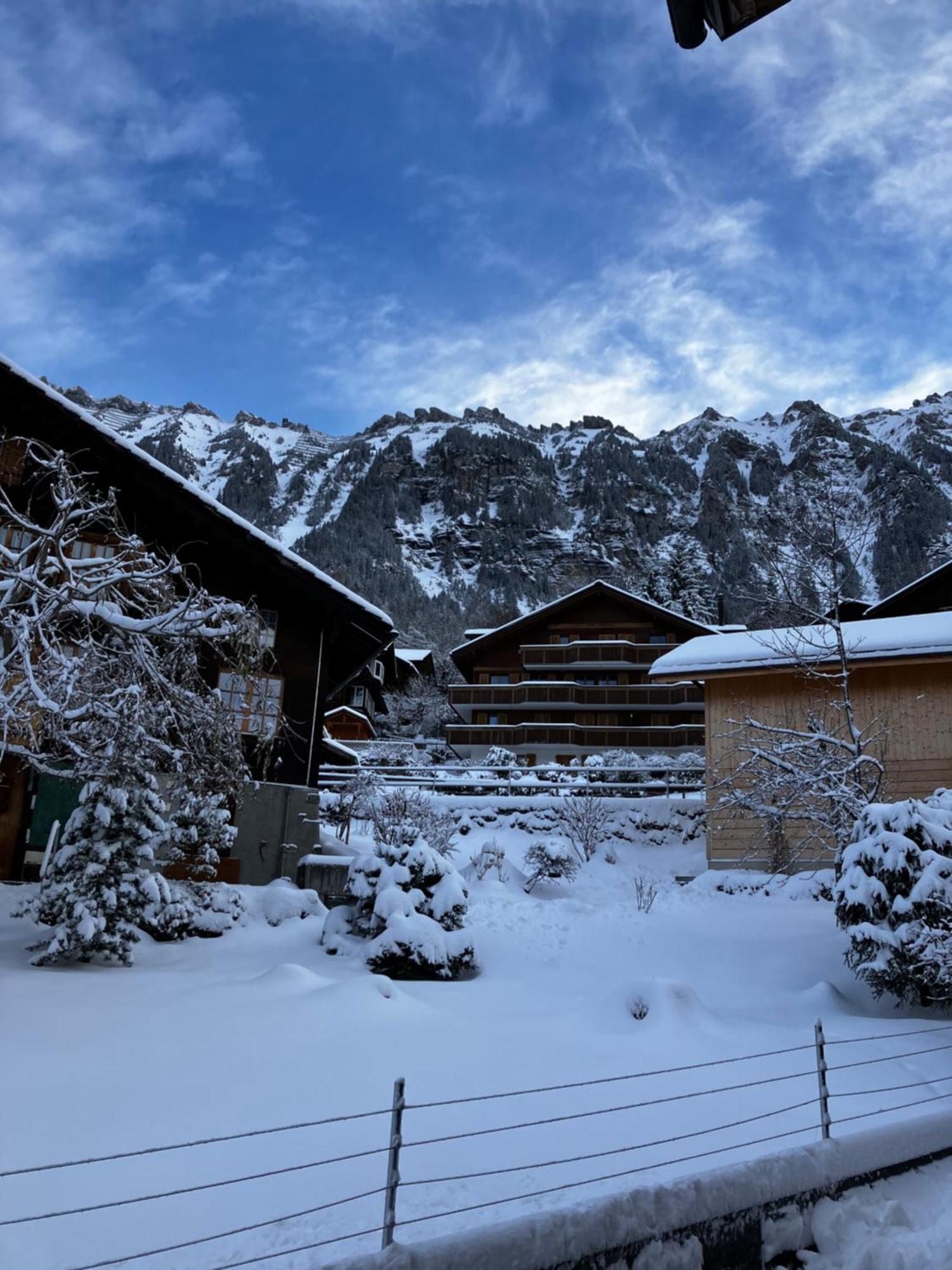Chalet Alpina Gyger Wengen Bagian luar foto